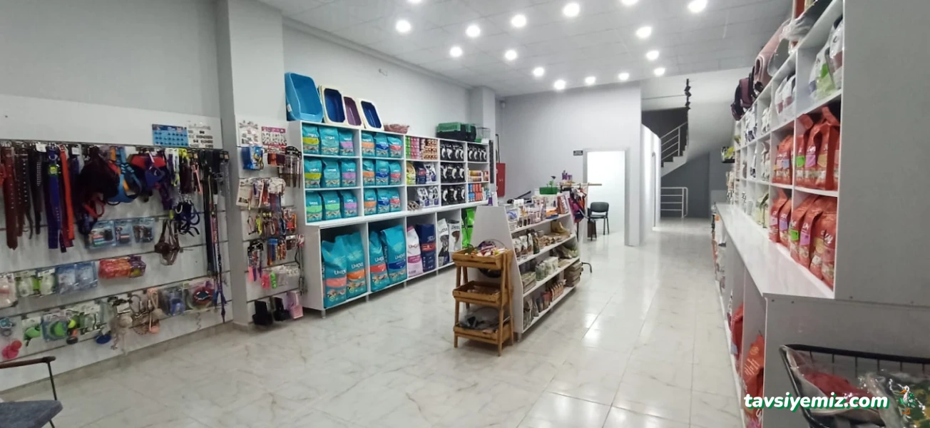 Pet World