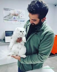 Pet412 Veteriner Kliniği Pet412 Veteriner Kliniği