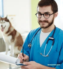 Pet412 Veteriner Kliniği Pet412 Veteriner Kliniği