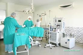 Petical Hayvan Hastanesi Petical Hayvan Hastanesi
