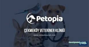 Petopia Veteriner Kliniği- Veterinary Clinic Petopia Veteriner Kliniği- Veterinary Clinic
