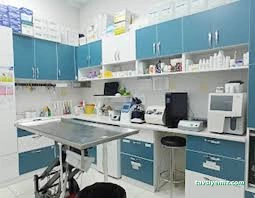 Petopia Veteriner Kliniği- Veterinary Clinic Petopia Veteriner Kliniği- Veterinary Clinic