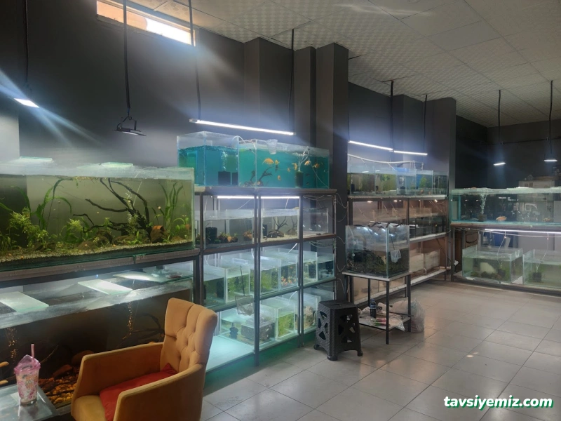 Petra Aqua Petshop Petra Aqua Petshop