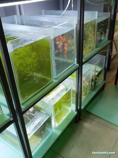 Petra Aqua Petshop Petra Aqua Petshop