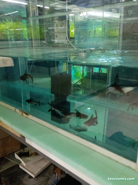 Petra Aqua Petshop Petra Aqua Petshop