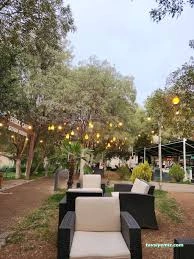 Petrol Cafe T.p.a.o Site Şubesi Petrol Cafe T.p.a.o Site Şubesi