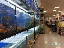 Petshop Petshop