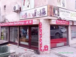 Petshop Petshop