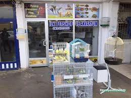 Petshop Petshop