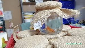 Petshop Beril Akvaryum Bolu Petshop Beril Akvaryum Bolu