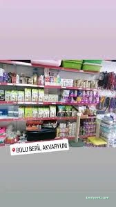 Petshop Beril Akvaryum Bolu Petshop Beril Akvaryum Bolu