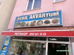Petshop Beril Akvaryum Bolu Petshop Beril Akvaryum Bolu