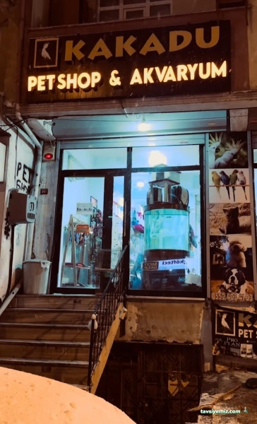 Petshop Kakadu