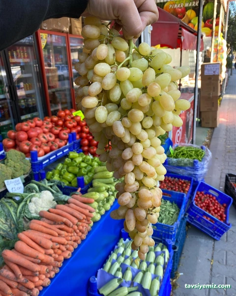 Pınar Market