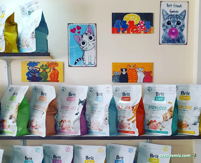 Pıtırcık Pet Shop