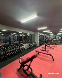 Proforce Gym Fitness Proforce Gym Fitness