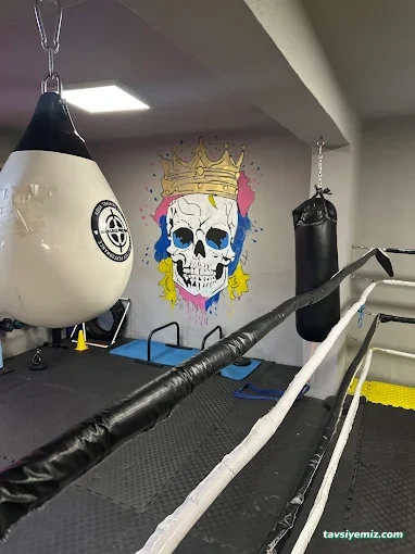 Ptstudio Fitness-Boks-Crossfit Ptstudio Fitness-Boks-Crossfit