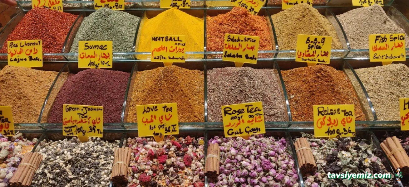Rainbow Akvaryum