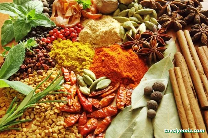 Rasayana & Direkt Organik- Doğal Ürünler Marketi