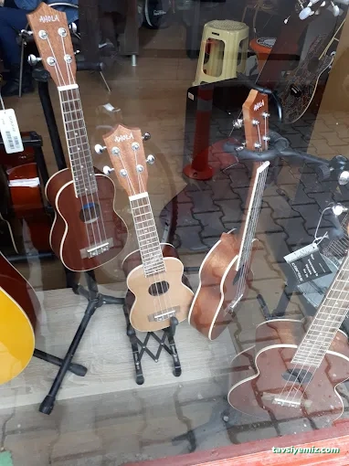 Re Major Müzik Evi Re Major Müzik Evi