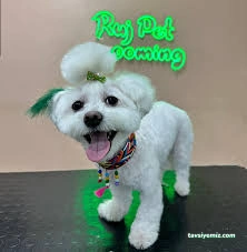 Ruj Pet Grooming Ruj Pet Grooming