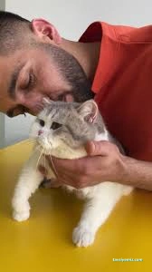 Ruj Pet Grooming Ruj Pet Grooming