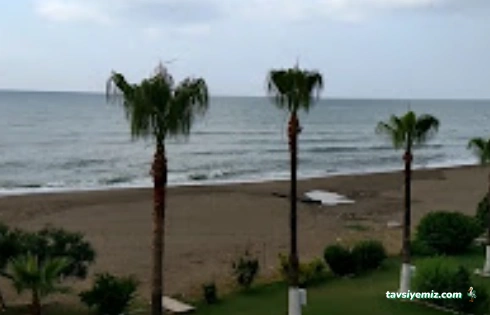 Sahil Martı Hotel