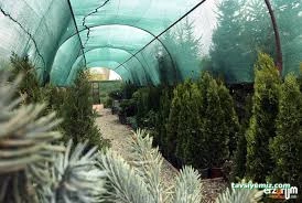 Şahinler Fidancılık Ve Peyzaj Şahinler Fidancılık Ve Peyzaj