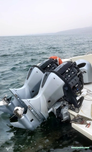 Şampiyon Marin Şampiyon Marin