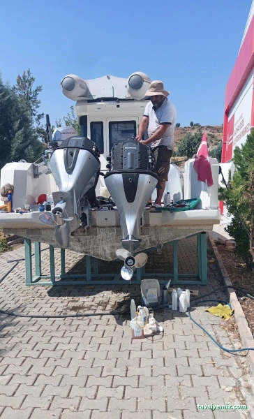 Şampiyon Marin Şampiyon Marin