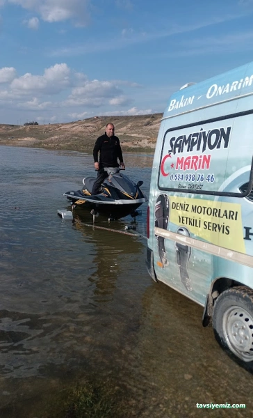 Şampiyon Marin Şampiyon Marin