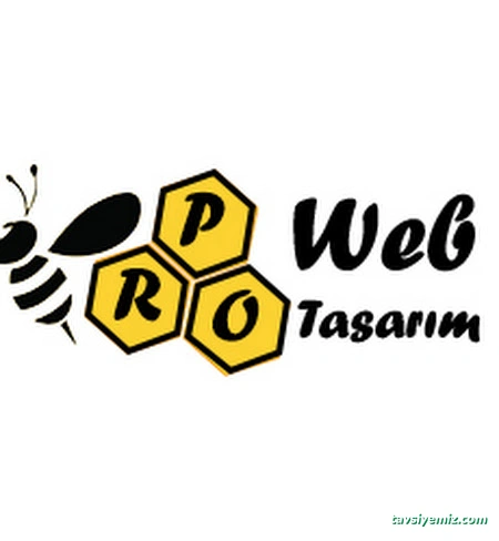 Samsun Pro Web Tasarım Samsun Pro Web Tasarım