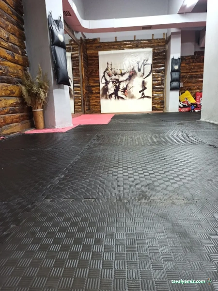 Savaş Sanatları Akademisi Spor Kulübü Savaş Sanatları Akademisi Spor Kulübü