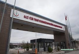 Sbü Ankara Gaziler Fizik Tedavi Ve Rehabilitasyon Eğitim Ve Araştırma Hastanesi Sbü Ankara Gaziler Fizik Tedavi Ve Rehabilitasyon Eğitim Ve Araştırma Hastanesi