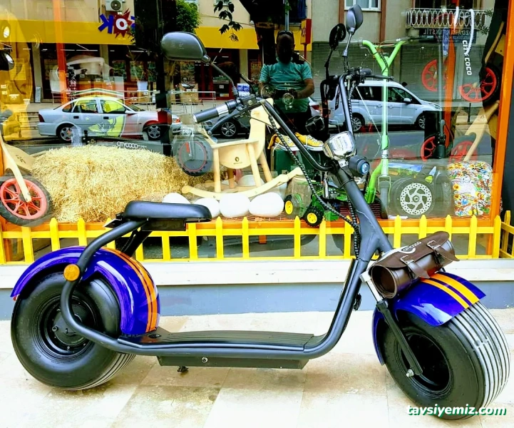 Scooter Store Scooter Yetkili Bayi&Servis Merkezi Scooter Store Scooter Yetkili Bayi&Servis Merkezi