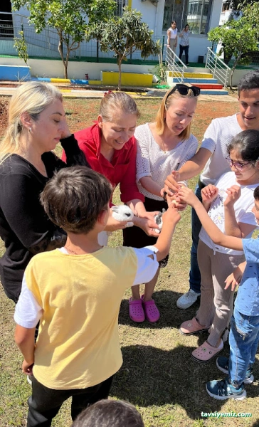 Şefkat Özel Eğitim Ve Rehabilitasyon Merkezi Şefkat Özel Eğitim Ve Rehabilitasyon Merkezi