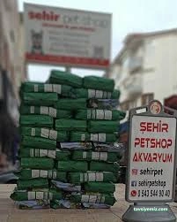 Şehir Petshop Akvaryum Şehir Petshop Akvaryum