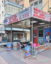 Şehir Petshop Akvaryum Şehir Petshop Akvaryum