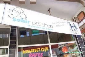 Şehir Petshop Akvaryum Şehir Petshop Akvaryum