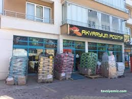 Şehir Petshop Akvaryum Şehir Petshop Akvaryum