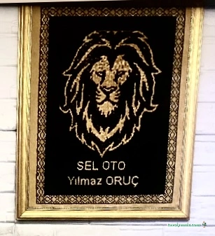 Sel Oto Kurtarma