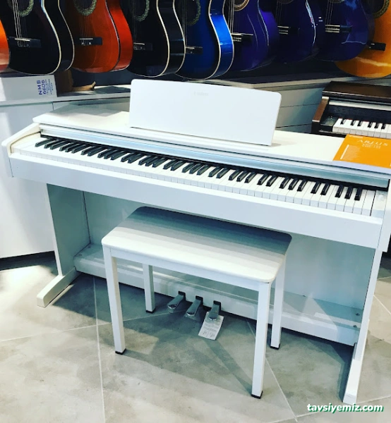Selen Müzik Center (Bolu'da Müzik Aletleri Satışı,Prova Studio Ve Müzik Kursları) Selen Müzik Center (Bolu'da Müzik Aletleri Satışı,Prova Studio Ve Müzik Kursları)