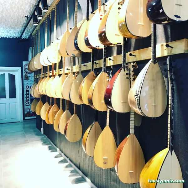 Selen Müzik Center (Bolu'da Müzik Aletleri Satışı,Prova Studio Ve Müzik Kursları)
