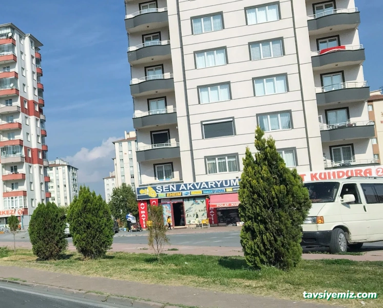 Şen Akvaryum& Av Bayii Şen Akvaryum& Av Bayii