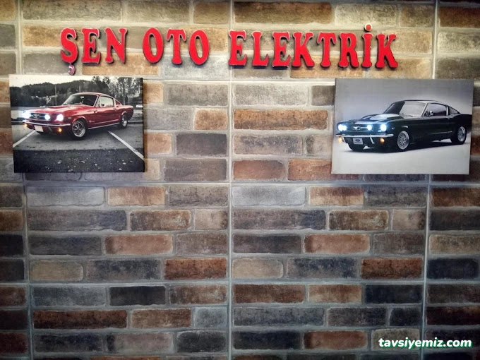 Şen Oto Elektrik Şen Oto Elektrik