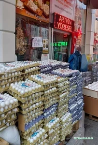 Şenol Gıda Şenol Gıda