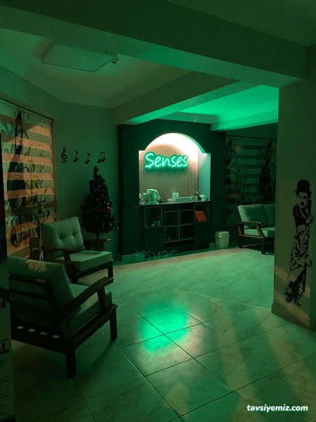 Şenses Müzik Sanat Akademi Okulu