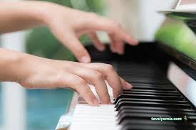 Şenses Müzik Sanat Akademi Okulu Şenses Müzik Sanat Akademi Okulu