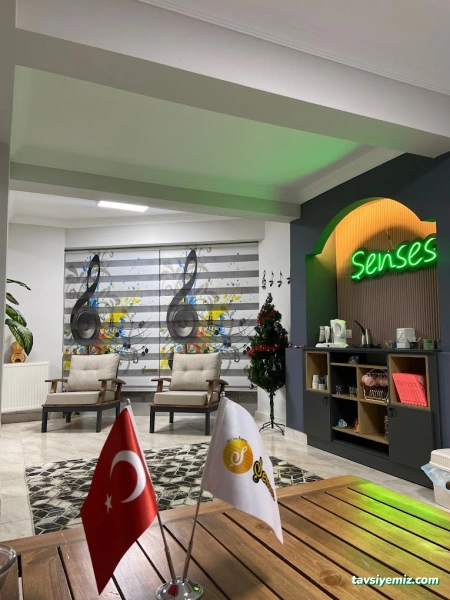Şenses Müzik Sanat Akademi Okulu