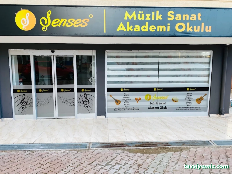 Şenses Müzik Sanat Akademi Okulu Şenses Müzik Sanat Akademi Okulu